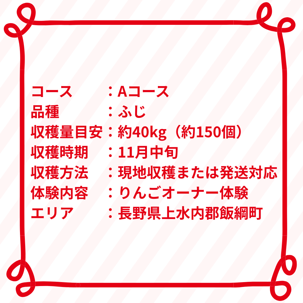 りんごの木オーナー制度 Aコース飯綱町りんごのオーナー制度