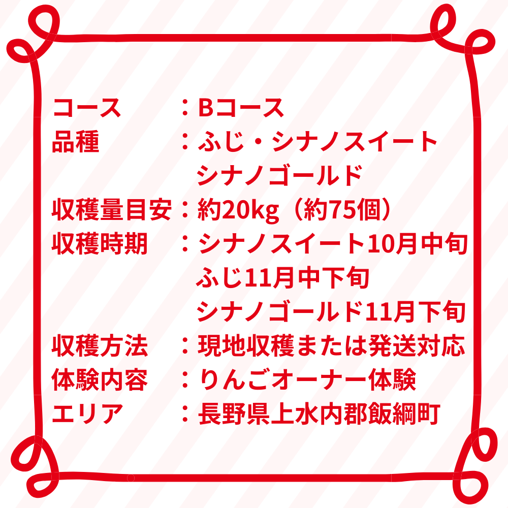 りんごの木オーナー制度 Bコース飯綱町りんごのオーナー制度