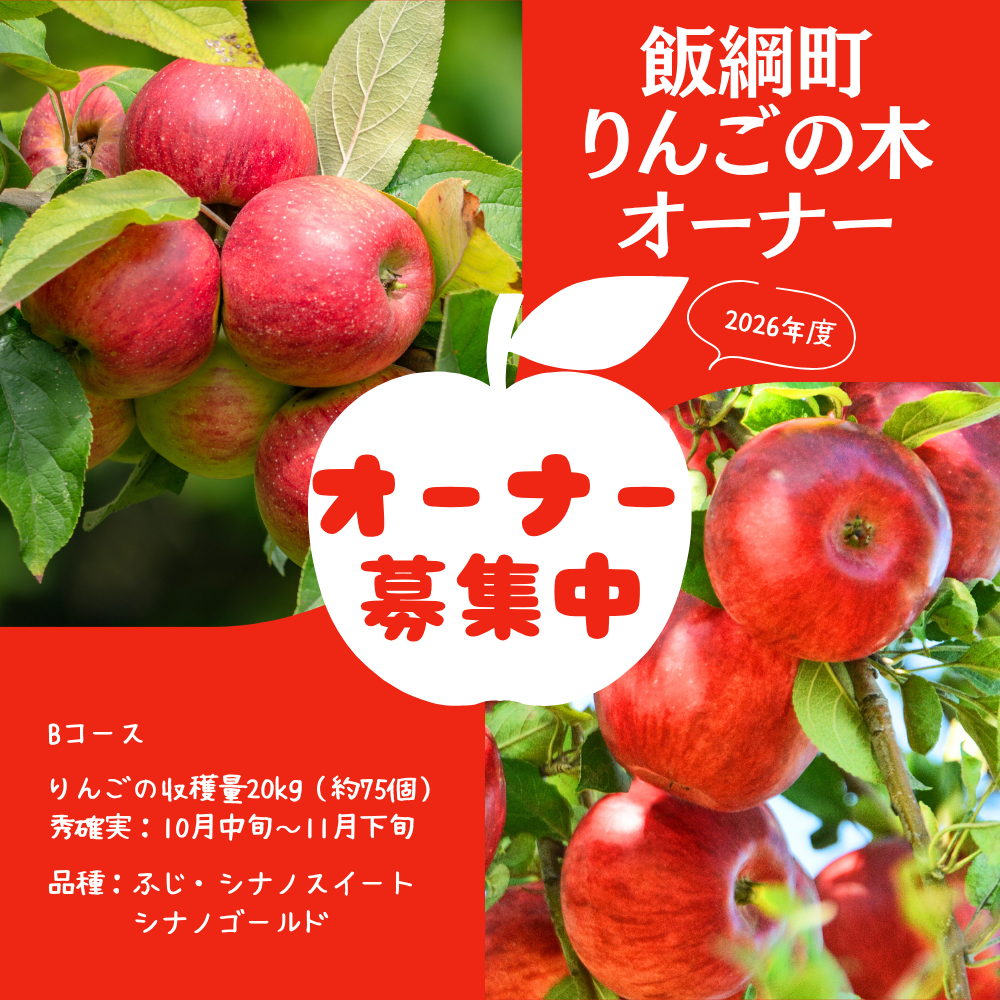りんごの木オーナー制度 Bコース飯綱町りんごのオーナー制度
