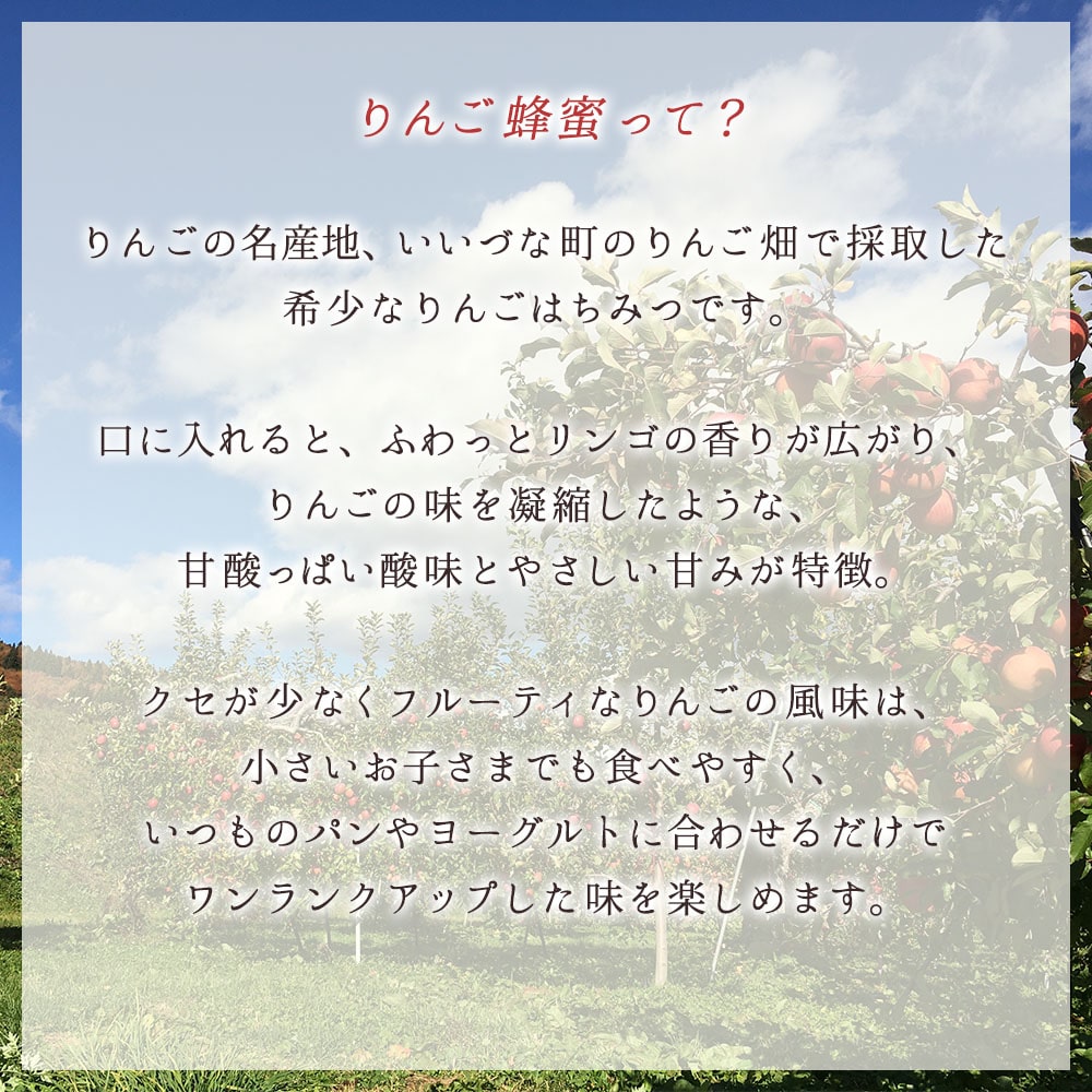 はちみつ 外谷さんちのりんご蜜・アカシア蜜セット 300g×2個 非加熱蜂蜜